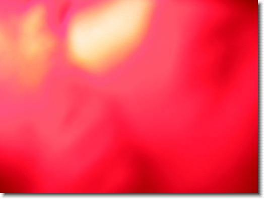 Klik hier voor de originele foto